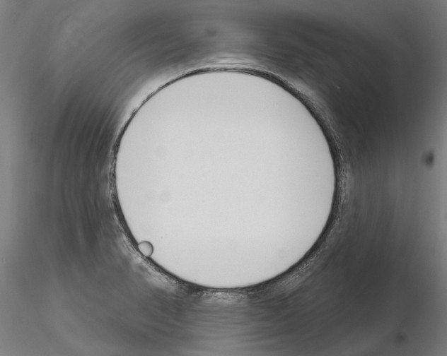 X0000115221374200912091211