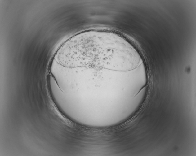 X0000115221375200912091211