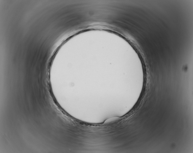 X0000115221376200912091211
