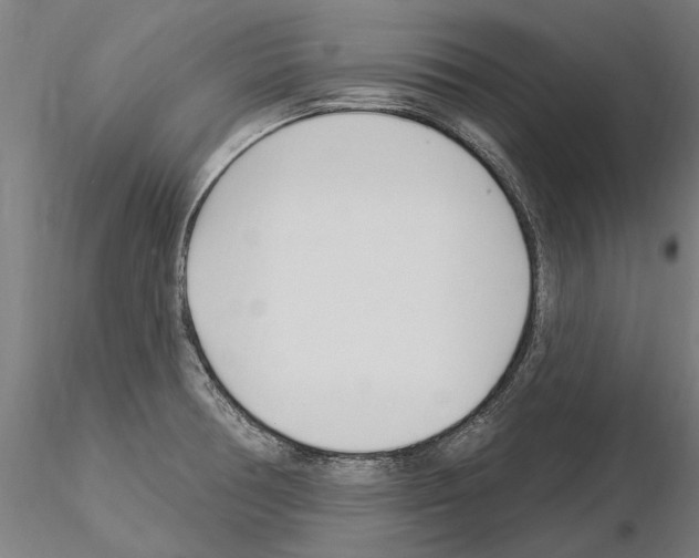 X0000115221378200912091211