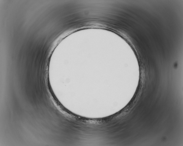 X0000115221379200912091211