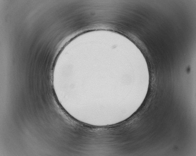 X0000115221380200912091211