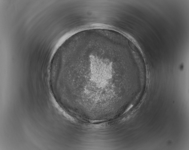 X0000115221381200912091211
