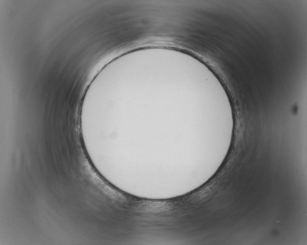 X0000115221382200912091211