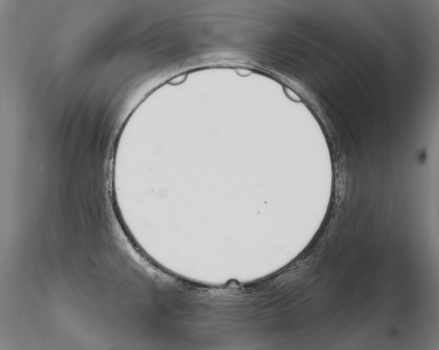 X0000115221383200912091211