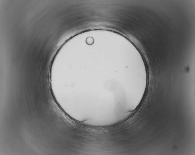 X0000115221384200912091211