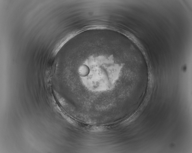 X0000115221385200912091211