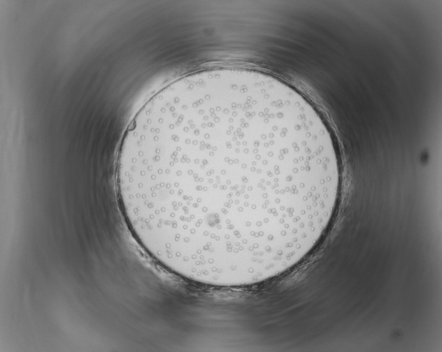 X0000115221386200912091211