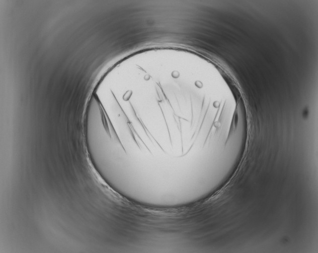 X0000115221388200912091211