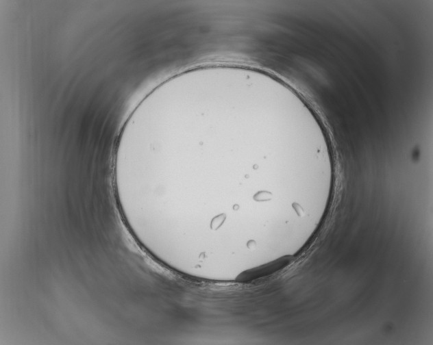 X0000115221390200912091211