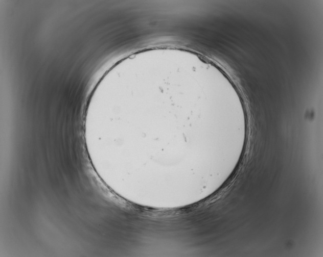 X0000115221392200912091211
