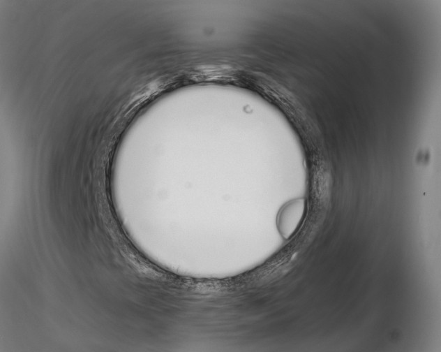 X0000115221393200912091210