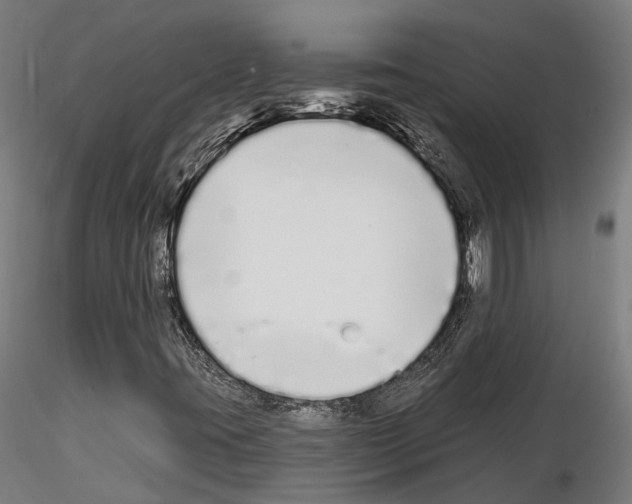 X0000115221395200912091210