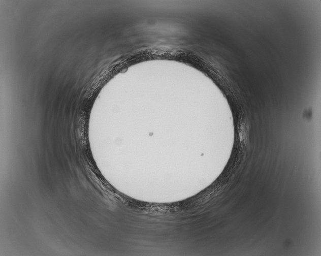 X0000115221396200912091210