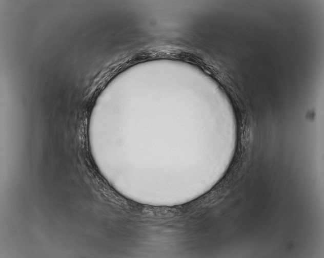 X0000115221397200912091210