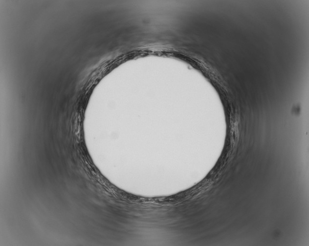 X0000115221398200912091210