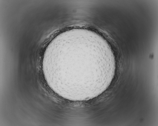 X0000115221399200912091210