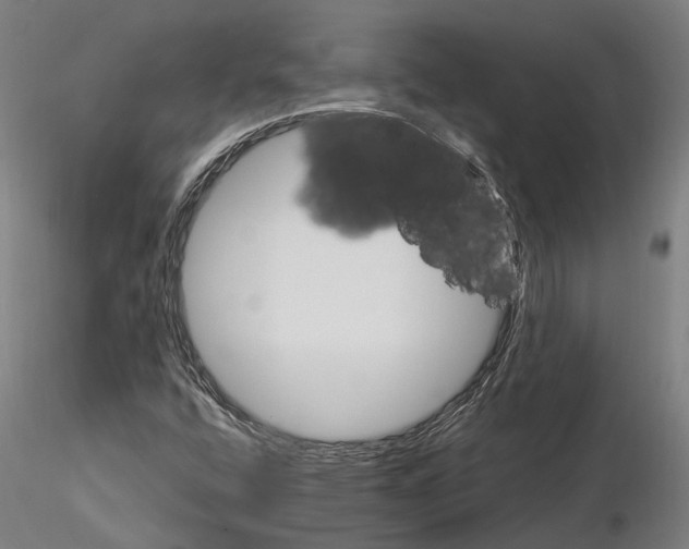 X0000115221400200912091210