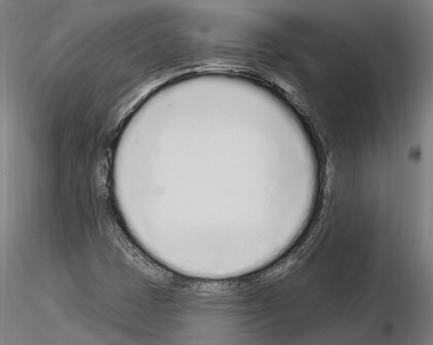 X0000115221401200912091210