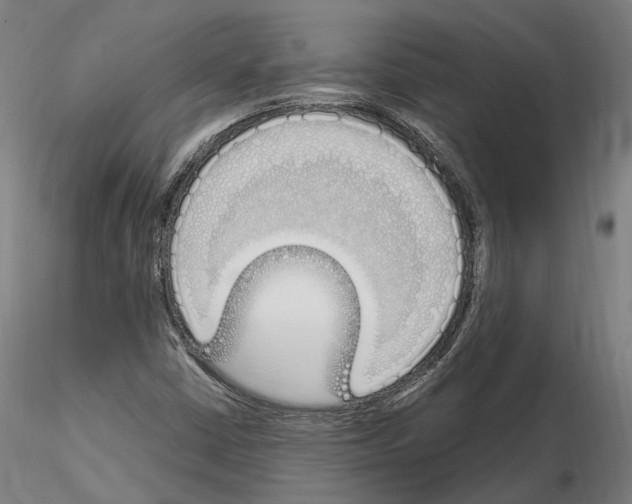 X0000115221402200912091210