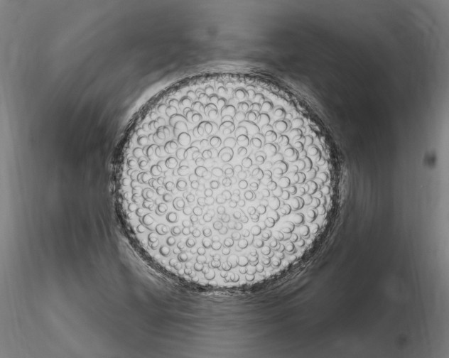 X0000115221404200912091210