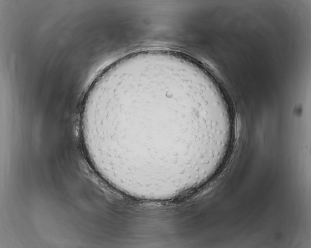 X0000115221405200912091210