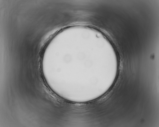X0000115221406200912091210