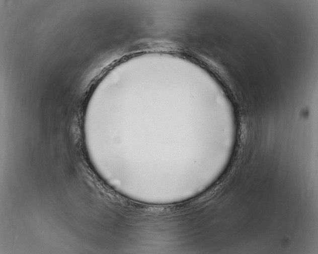 X0000115221407200912091210
