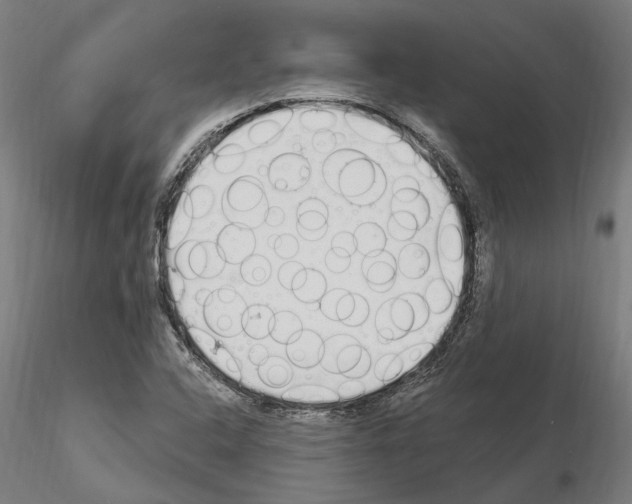 X0000115221408200912091210