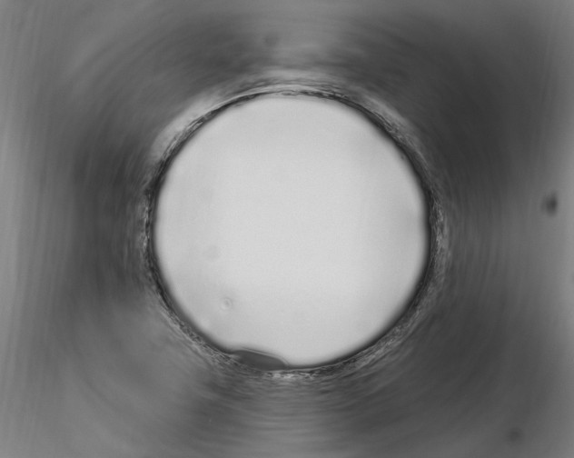 X0000115221411200912091210