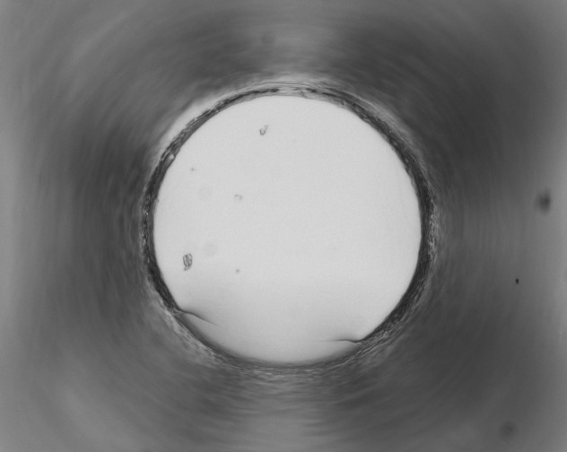 X0000115221412200912091210