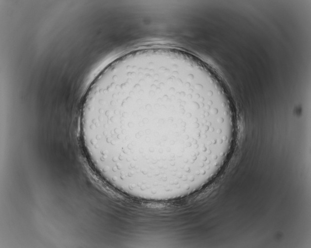 X0000115221413200912091210