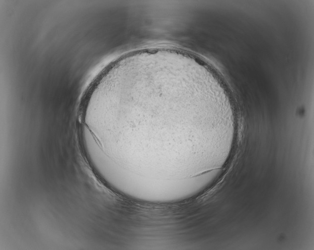 X0000115221414200912091210