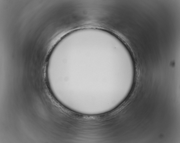X0000115221415200912091210