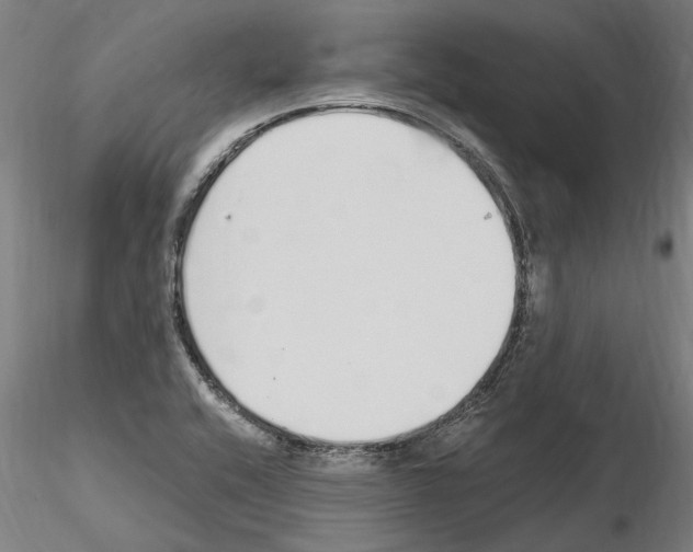 X0000115221416200912091210