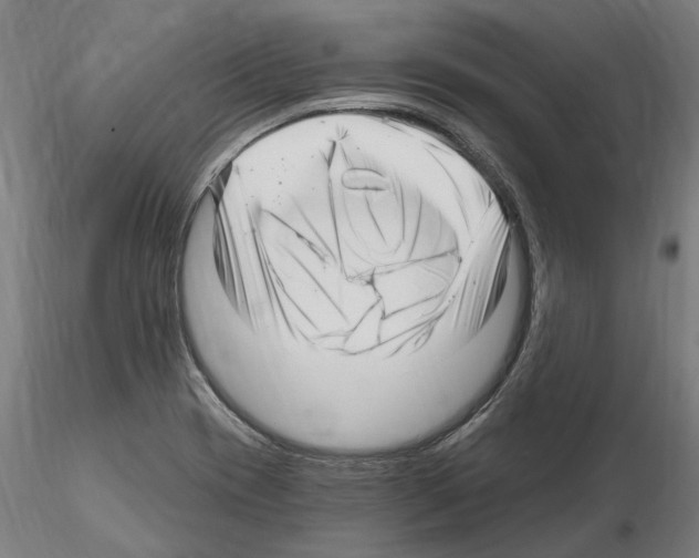X0000115221417200912091210