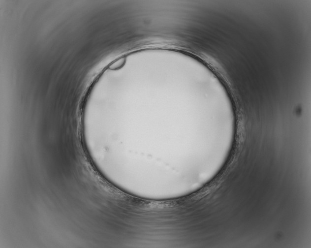 X0000115221419200912091211