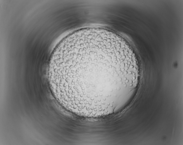 X0000115221420200912091211
