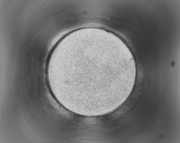 X0000115221422200912091211