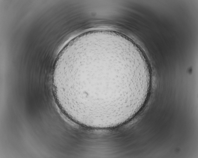 X0000115221425200912091211