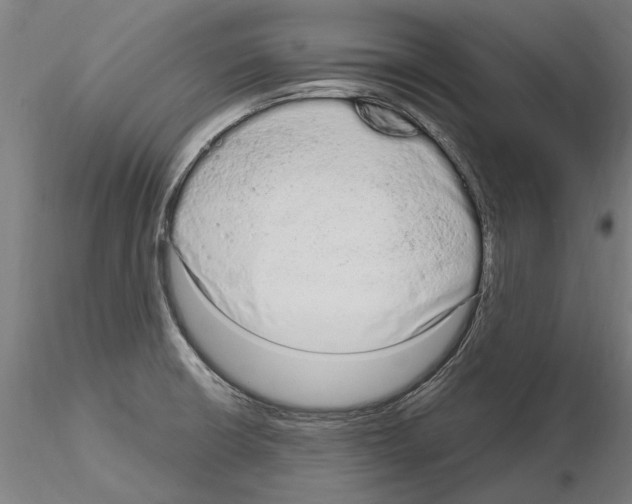 X0000115221426200912091211