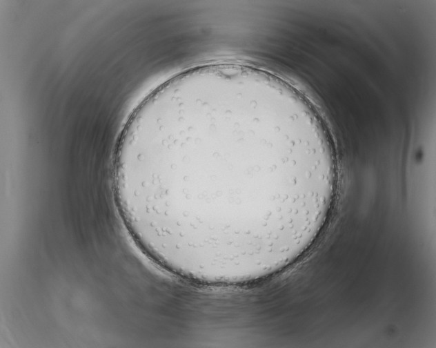 X0000115221429200912091211