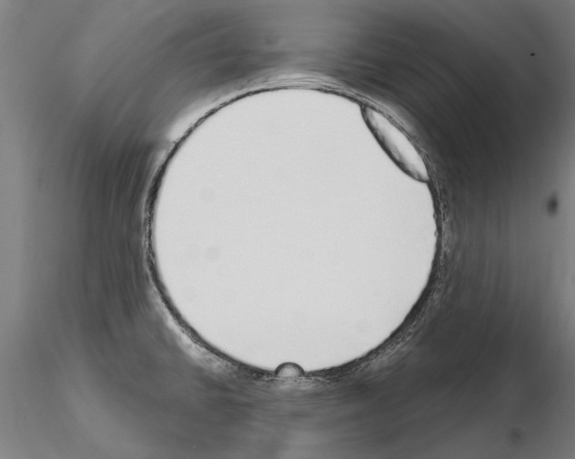 X0000115221430200912091211