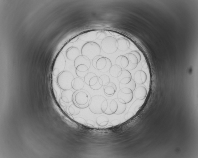 X0000115221432200912091211
