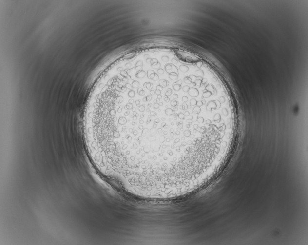 X0000115221433200912091211