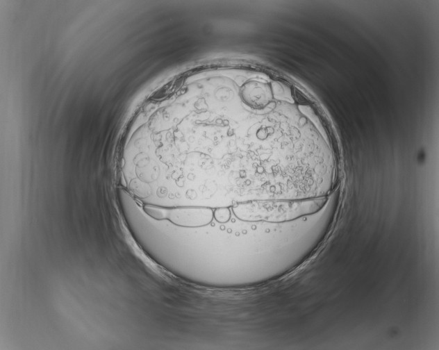 X0000115221437200912091211