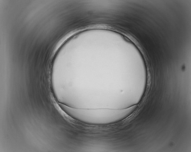 X0000115221438200912091211
