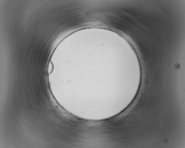 X0000115221440200912091211
