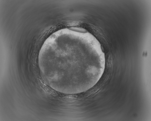 X0000115221441200912091210