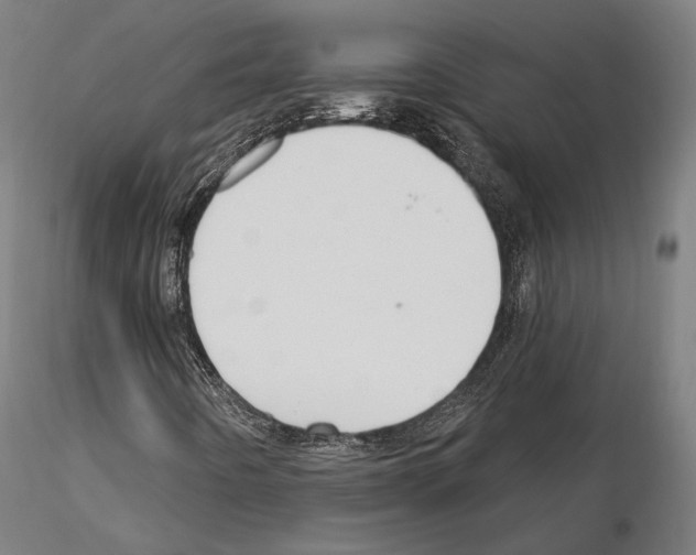 X0000115221442200912091210